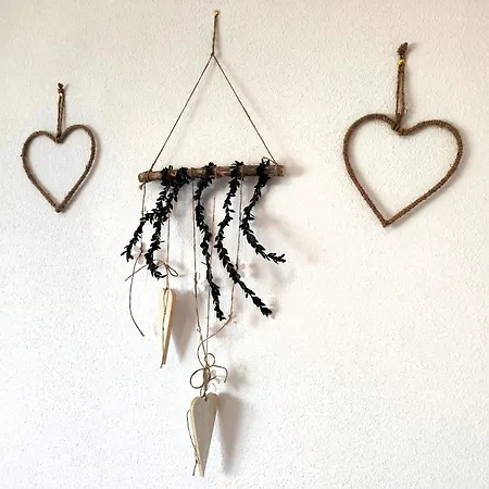 Parodi Danuria * 托雷维耶哈